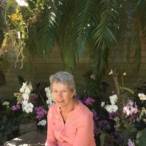 Meet your Posher, Dorothy